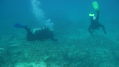 City of Washington high