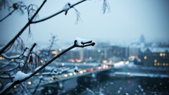 cityscape snow Plants bokeh branch winter