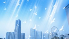 Cityscapes Birds digital art