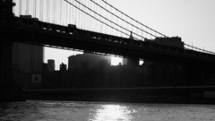 Cityscapes Bridges New York