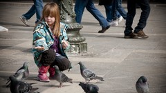 Cityscapes buildings venice