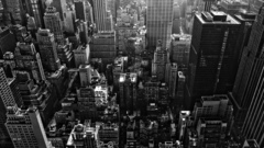 Cityscapes grayscale City