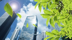 Cityscapes leaves buildings Skyscrapers