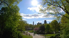 Cityscapes new york city