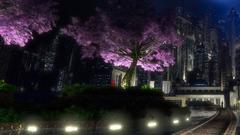 Cityscapes night Parks