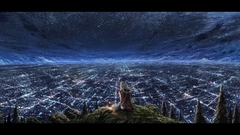 Cityscapes night sitting panorama