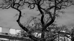 Cityscapes old Europe Polish