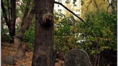 Cityscapes old Europe Polish