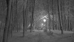 Cityscapes old Europe Polish