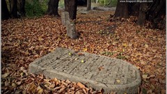 Cityscapes old Europe Polish