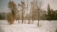 Cityscapes old Europe Polish