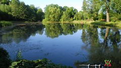 Cityscapes old Garden Europe
