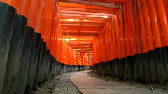 Cityscapes torii Fushimi Inari Shrine