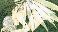 Clamp Clover (manga)