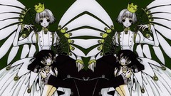 Clamp clover Manga Anime
