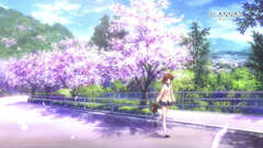 Clannad cherry blossoms furukawa nagisa