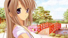 Clannad sakagami tomoyo