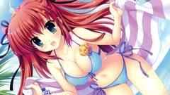 Cleavage swimsuits soft shading