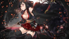 Cleavage thigh highs Kisaragi