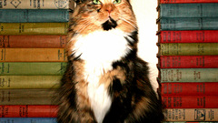 Clever Animals Books animal