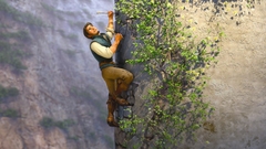 Climbing tangled ivy