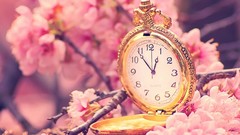 Clocks cherry blossoms