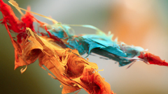 Close-up abstract leaves colors