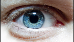 Close-up blue eyes macro