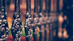 Close-up depth of field