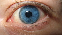 Close-up eyes blue eyes