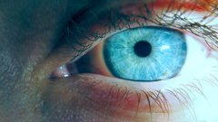 Close-up eyes blue eyes