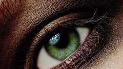 Close-up eyes green eyes