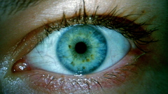 Close-up eyes Resident Evil