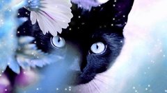 Close-up Flowers cats Animals