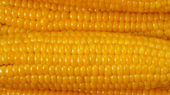 Close-up food corn Food