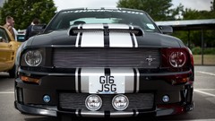 Close-up Ford Shelby Ford mustang gt 500 shelby gt500 muscle 