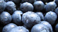 Close-up fruits food water