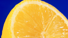 Close-up fruits lemons