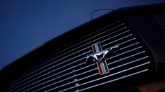 Close-up GT 2006 muscle cars emblems low-angle shot Ford Shelby