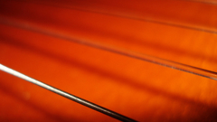 Close-up instruments strings Music