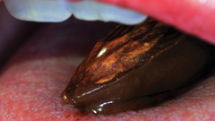 Close-up lips teeth macro
