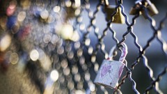 Close-up Locks fences bokeh Chain Link Fence