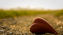 Close-up love Hearts