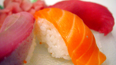 Close-up orange food sushi