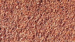 Close-up peanuts chopped nuts