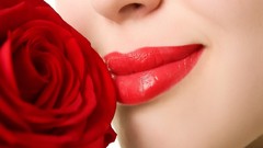 Close-up red Flowers