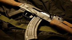 Close-up Rifles weapons romania