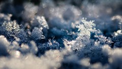 Close-up snowflakes