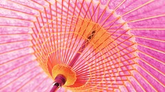 Close-up Umbrellas still life parasol oriental