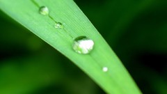 Close-up water drops